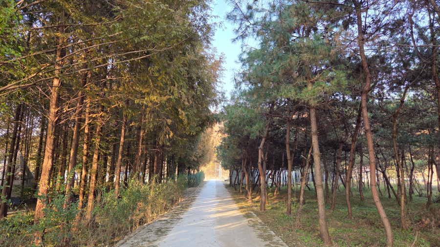 홍천농장 전경