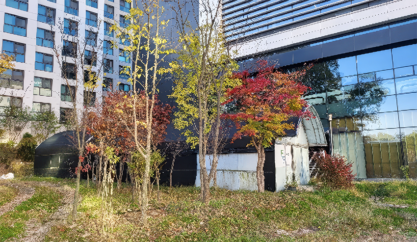 수서농장 전경