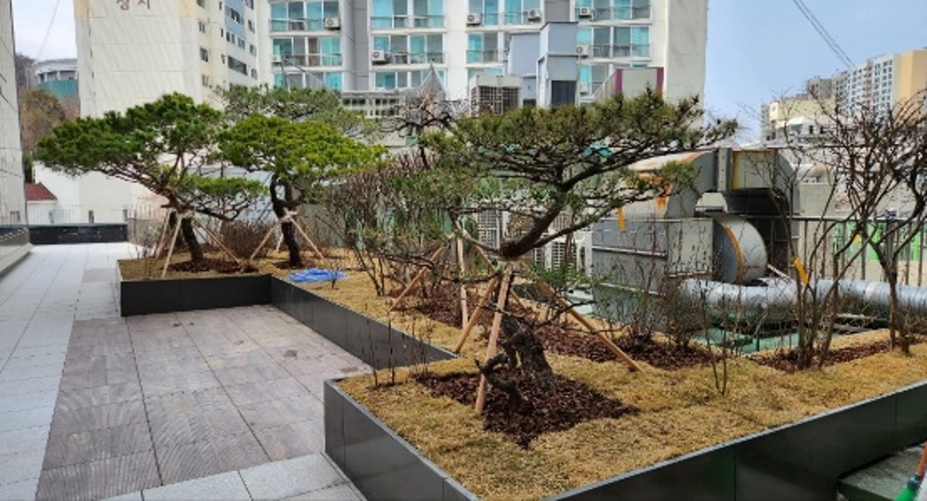 부천 세종병원